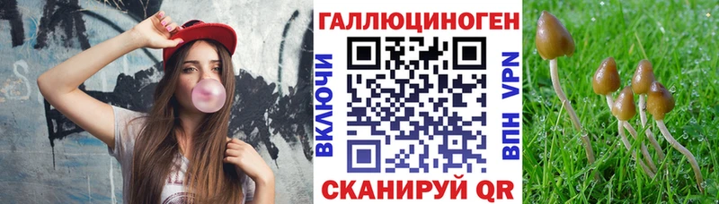 Галлюциногенные грибы GOLDEN TEACHER  MEGA вход  Грайворон 